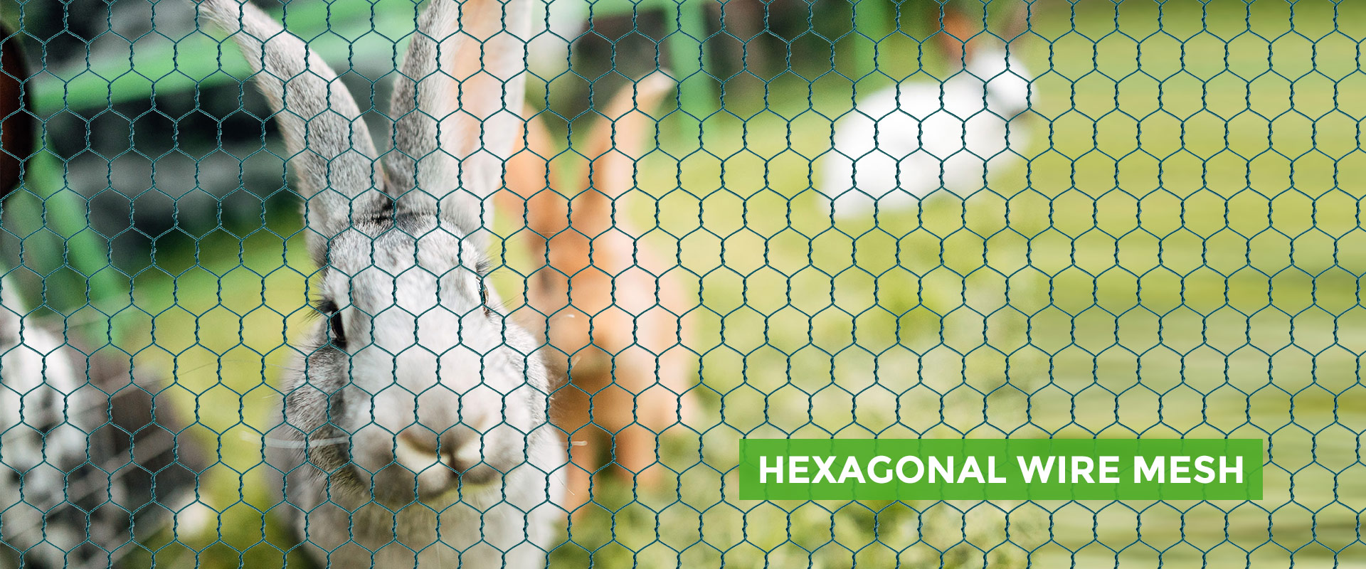 Hexagonal Wire Mesh