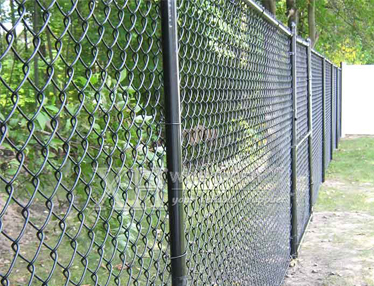 Chain Link Fence