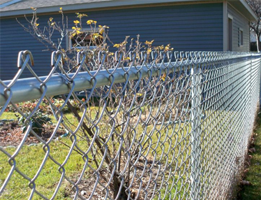 Chain Link Fence