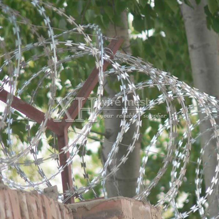 Wholesale Razor Wire