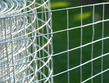 Galvanized After Wire Mesh: Welded or Woven